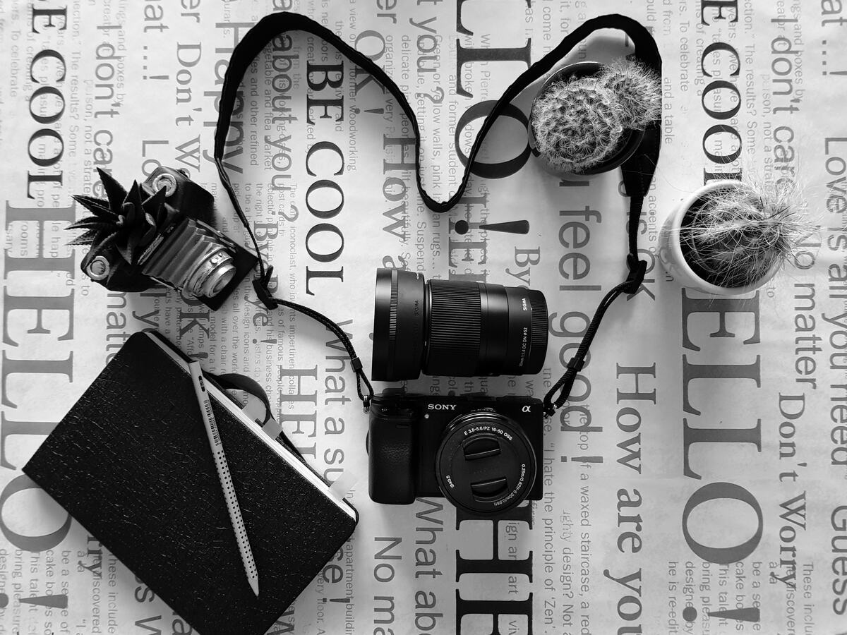Sony a6300 фотоапарат с китов обектив и Sigma 30mm обектив, черно и бяло снимка, сложени на маса, аранжирани с кактуси